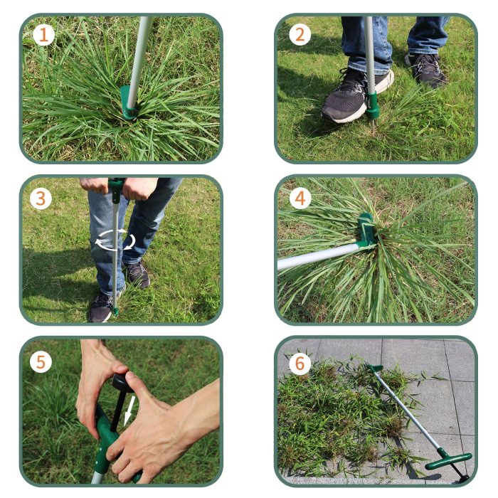 standupweederhandweeder6