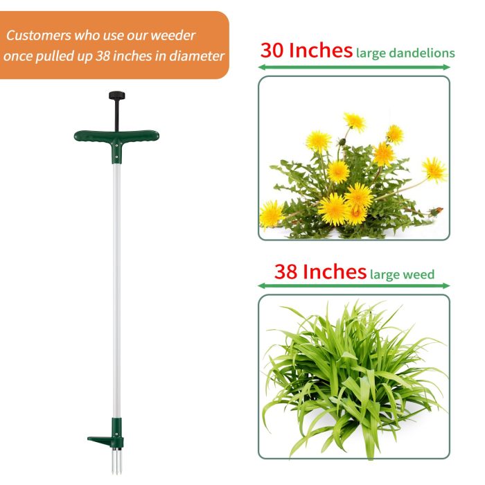 weedertoolgardenweedergardenweederhandtoolweederhandtoolRootRemovaltoolmanualweedermanualweederhandtoolgardenweederlonghandletoolDandelionsRemoverToolstandupweeders2